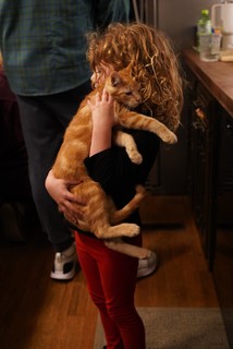 little person. little cat.