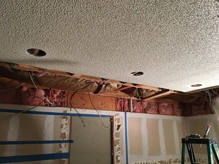 The hard can lights are in...