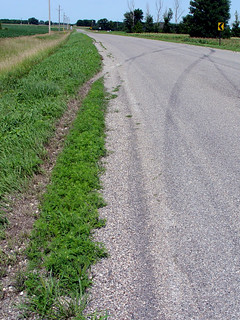 Where we almost flipped.  We ended up on the left side up there.  And there were a lot more skid ...