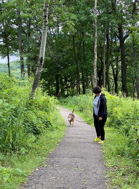Happy, hikin old man