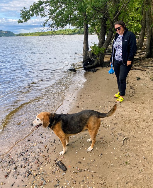 Checkin out the lake