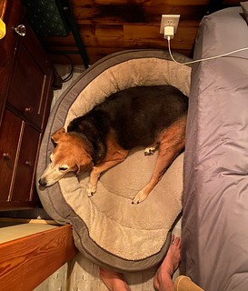 Garth is getting tired of this tiny house