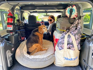 Covid-19 - Northbound!