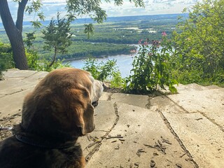 Buena Vista Park with Garth Brooks