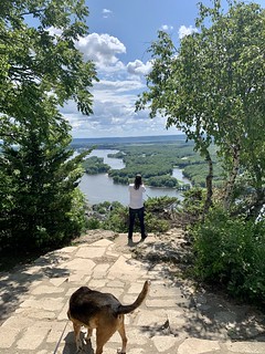 Covid-19 - Lookin at it