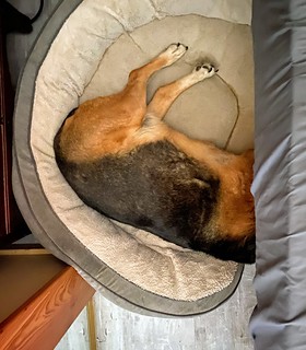 Crammed in. Under the bed, heh.