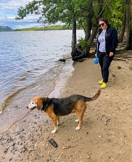 Checkin out the lake