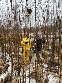 Bock Fest - Hey guys, look at this tiny nest!