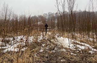 Bock Fest - Through the thicket