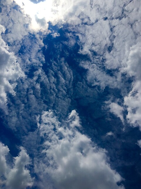 View from the pool deck