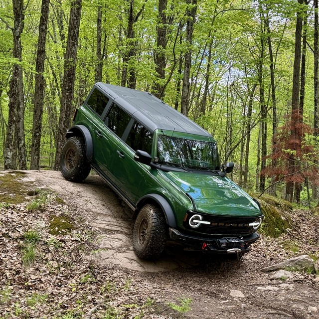 Photos never do these little drops justice, hah