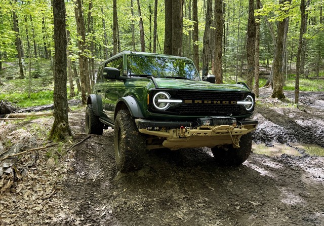 Navigating the trees