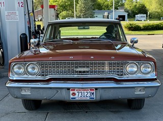 Travel - Good pup needs some gas