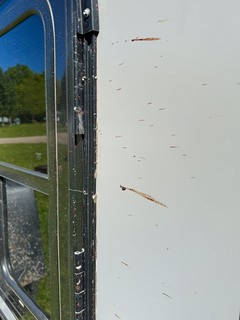 Travel - Accidentally splattered a bunny on the way into town. Blood was just all over the Bronco and Camper