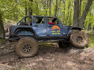 Travel - "they identify as 37s"