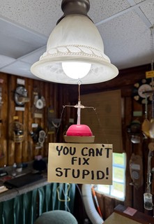 Travel - You can't fix stupid!