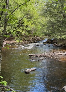 Travel - A stream behind our campsite