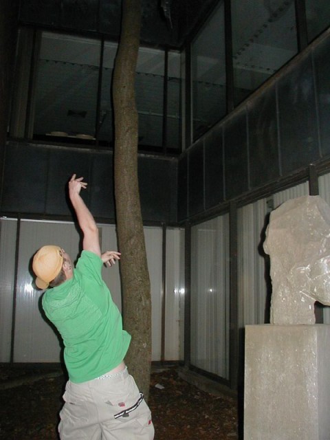 Trying to knock the branch out from our Lunch tree