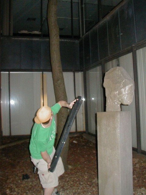 Trying to knock the branch out from our Lunch tree