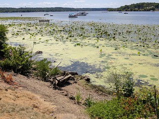 Dad's old swing has lived it's life