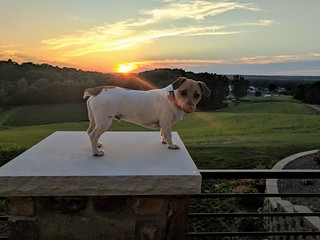 Sunset - This is a photo of an actual butthole at sunset