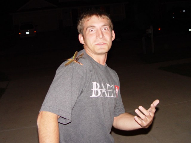 Turbo's praying mantis