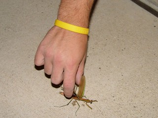 Party - T-3 seconds until this little guy got his head eaten by Turbo