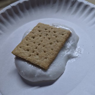 I do not recommend microwaved s'mores.
