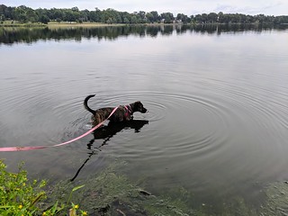 Gemma - Jemma likes the pond
