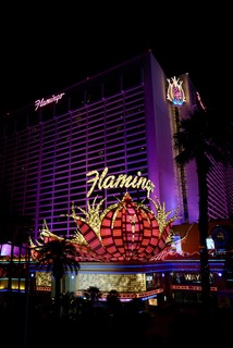 The Flamingo. My favorite Vegas hotel signage