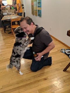 Ivan Indrautama - Hangin with Julia's crazy dog