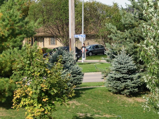 Gabe - Duct Taped to a sign