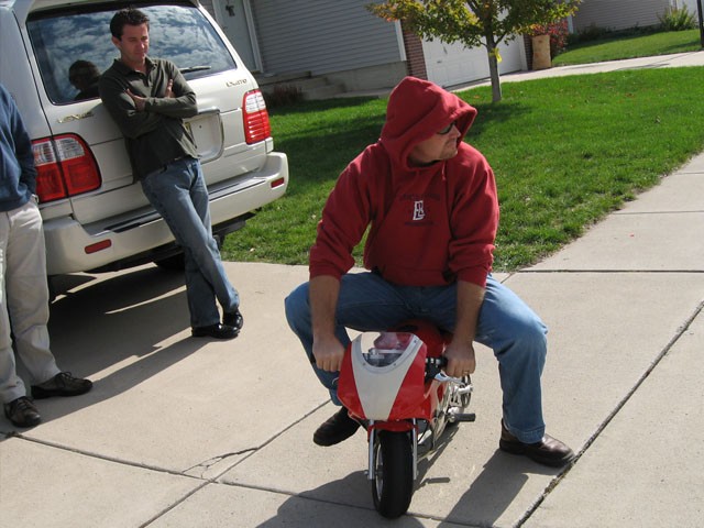 I want to think of a funny caption, but there are too many to choose from.