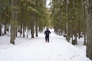 Snowshoeing