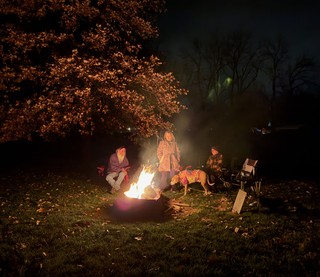 Teresa Reynolds - Hangin next to the pin oak