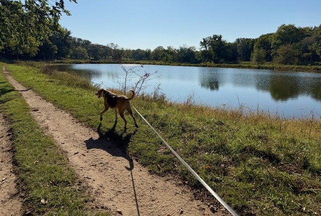 Trottin along the fishin ponds