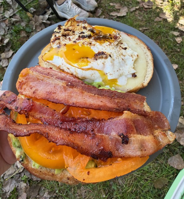 Sourdough & Avocado & Garden Tomato & Bacon & Fried Egg & Provolone