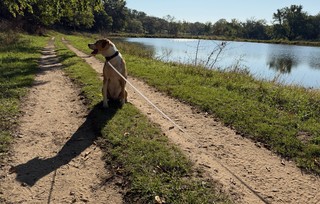 Hangin on this trail