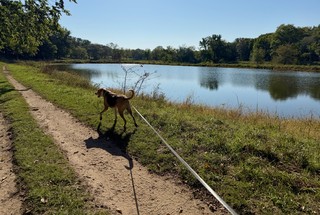Trottin along the fishin ponds
