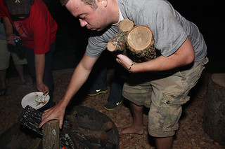 Putting logs on the fire