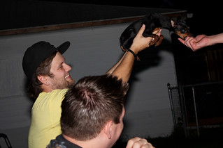 Dozer only calms down when you hold him high enough to be scared