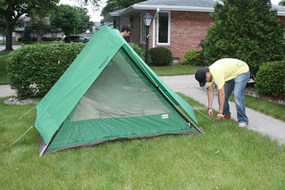 Staking the tent