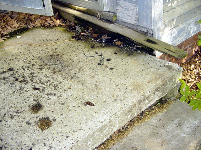 Where we found his glasses the next day