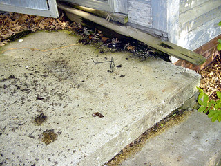 Where we found his glasses the next day