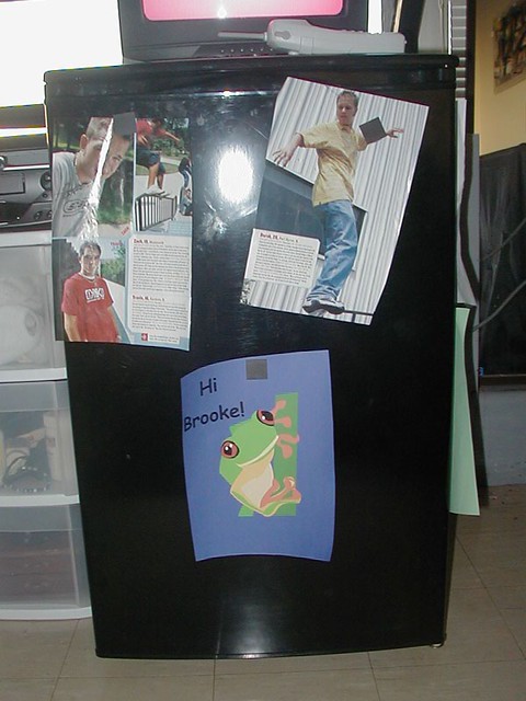 Zach and I's magazine cut outs on Brooke's fridge