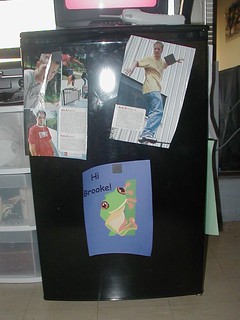 Zach and I's magazine cut outs on Brooke's fridge
