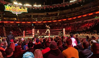 Bray Wyatt vs Roman Reigns