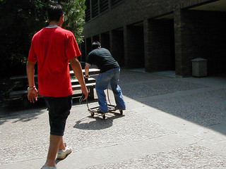 Jordan trying to jump the milk cart