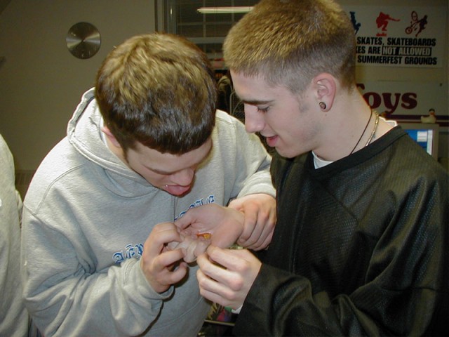 Playing with Kevi's fish