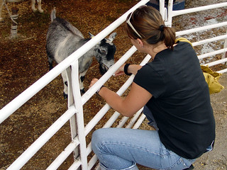Kari Feeding a Goat